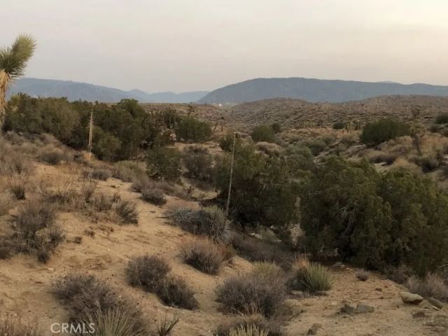 223 Avenue Y14, Llano, CA 93544
