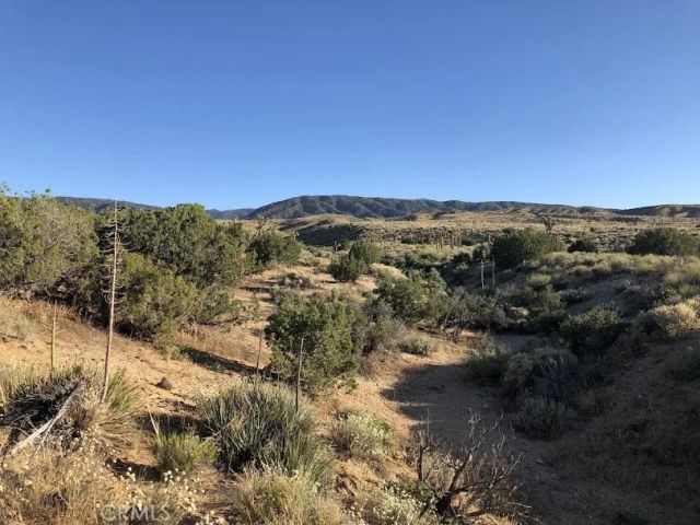 223 Avenue Y14, Llano, CA 93544