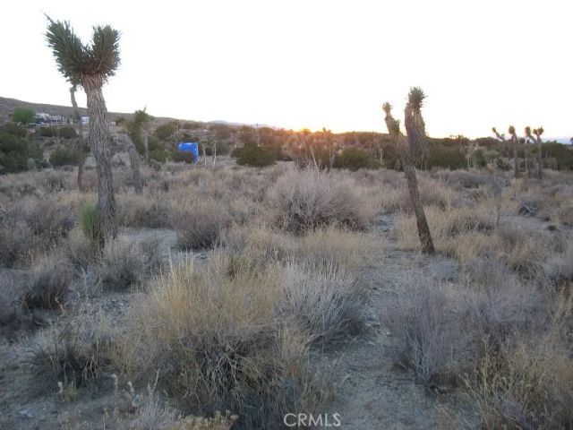 223 Avenue Y14, Llano, CA 93544
