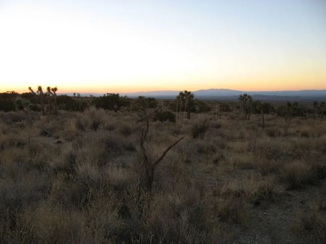 223 Avenue Y14, Llano, CA 93544
