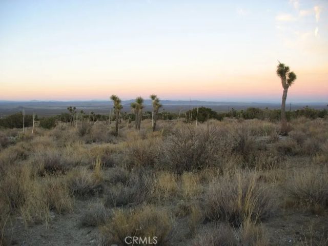 223 Avenue Y14, Llano, CA 93544