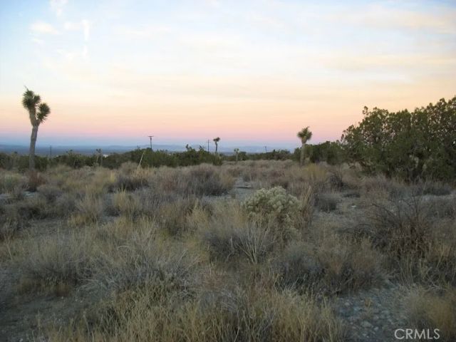 223 Avenue Y14, Llano, CA 93544