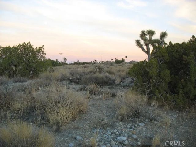 223 Avenue Y14, Llano, CA 93544
