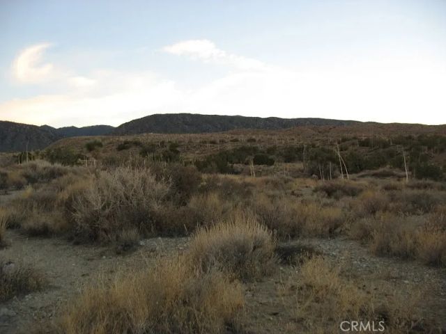 223 Avenue Y14, Llano, CA 93544