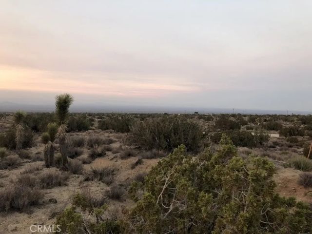 223 Avenue Y14, Llano, CA 93544
