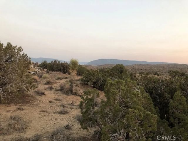 223 Avenue Y14, Llano, CA 93544