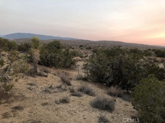 223 Avenue Y14, Llano, CA 93544