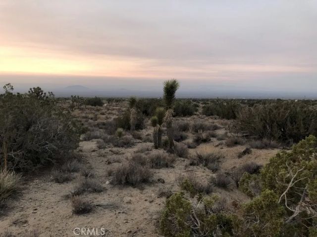 223 Avenue Y14, Llano, CA 93544