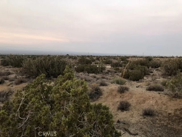 223 Avenue Y14, Llano, CA 93544