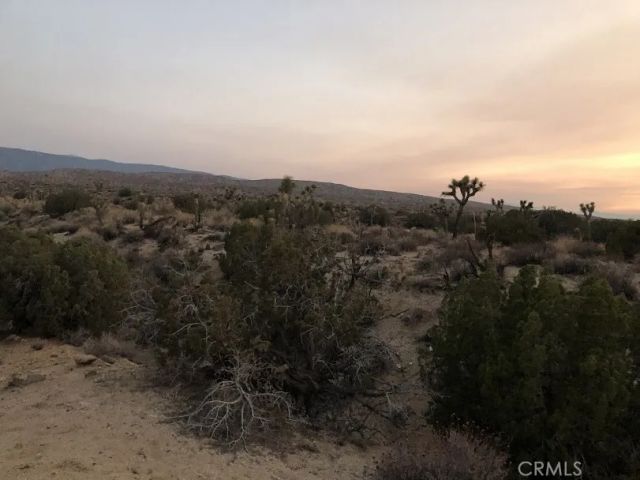 223 Avenue Y14, Llano, CA 93544