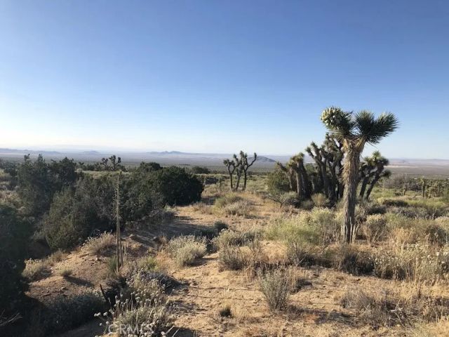 223 Avenue Y14, Llano, CA 93544