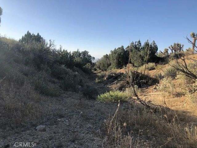223 Avenue Y14, Llano, CA 93544