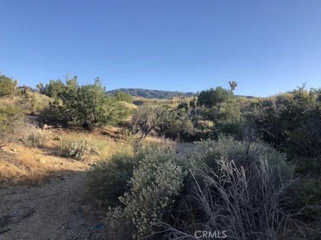 223 Avenue Y14, Llano, CA 93544