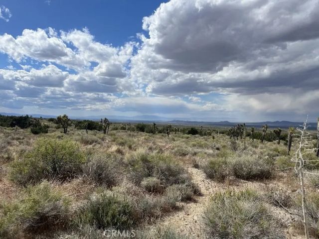 223 Avenue Y14, Llano, CA 93544
