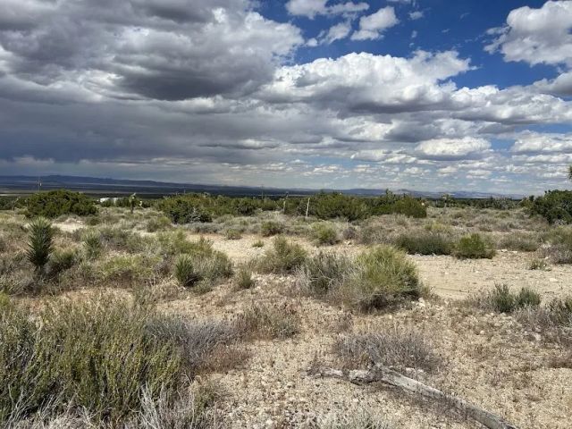 223 Avenue Y14, Llano, CA 93544