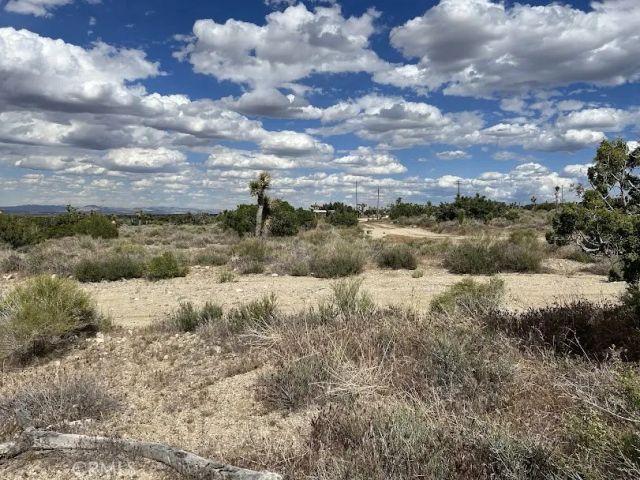 223 Avenue Y14, Llano, CA 93544