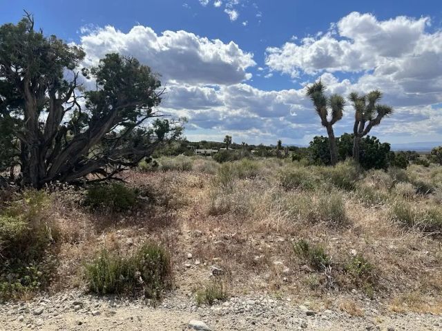 223 Avenue Y14, Llano, CA 93544