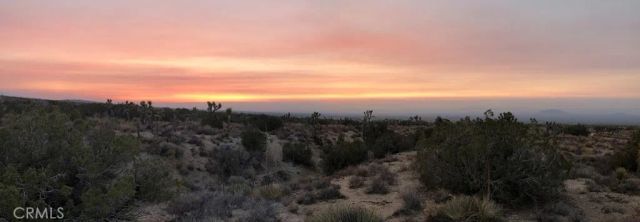 223 Avenue Y14, Llano, CA 93544