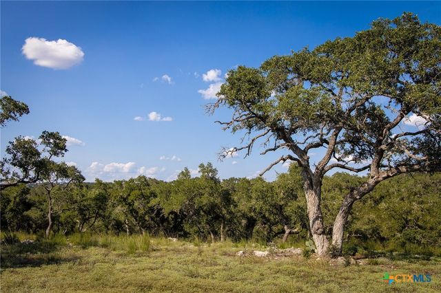 1914 Paradise Parkway, Canyon Lake, TX 78133