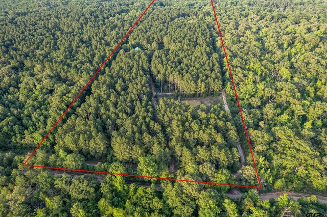 16661 PR 2360, Oakwood, TX 75855