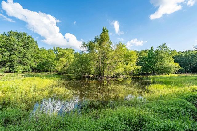 16661 PR 2360, Oakwood, TX 75855