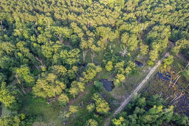 16661 PR 2360, Oakwood, TX 75855