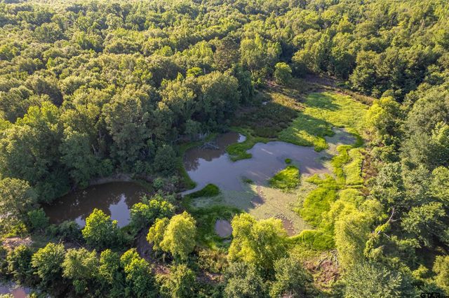 16661 PR 2360, Oakwood, TX 75855