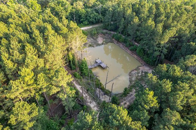 16661 PR 2360, Oakwood, TX 75855
