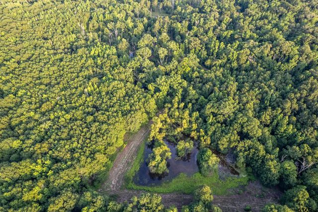 16661 PR 2360, Oakwood, TX 75855