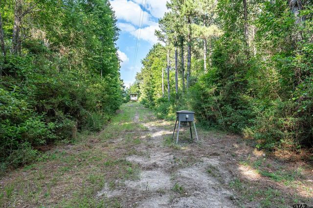 16661 PR 2360, Oakwood, TX 75855