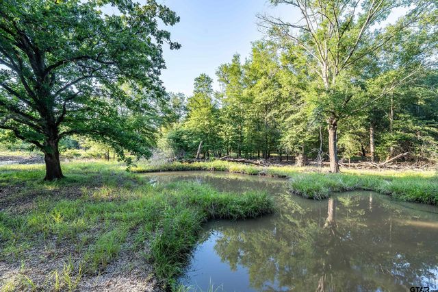 16661 PR 2360, Oakwood, TX 75855