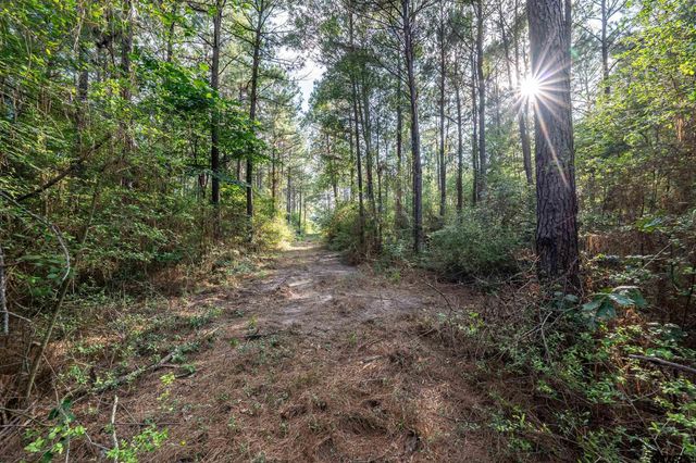 16661 PR 2360, Oakwood, TX 75855