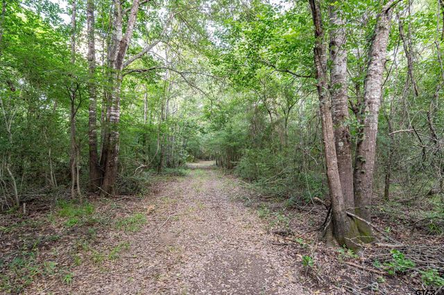 16661 PR 2360, Oakwood, TX 75855