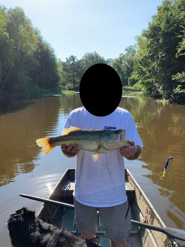 16661 PR 2360, Oakwood, TX 75855