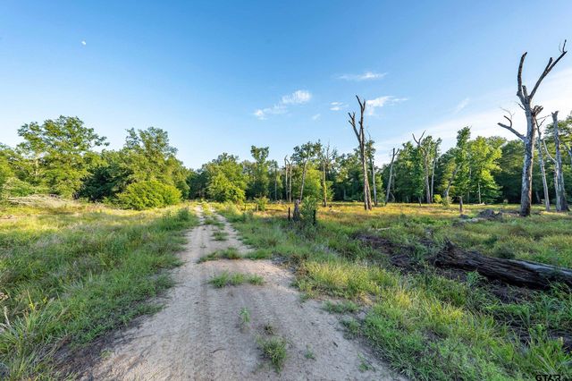 16661 PR 2360, Oakwood, TX 75855