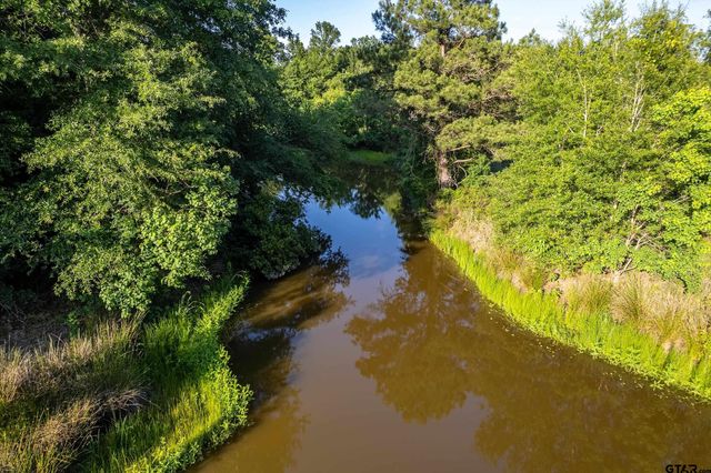16661 PR 2360, Oakwood, TX 75855