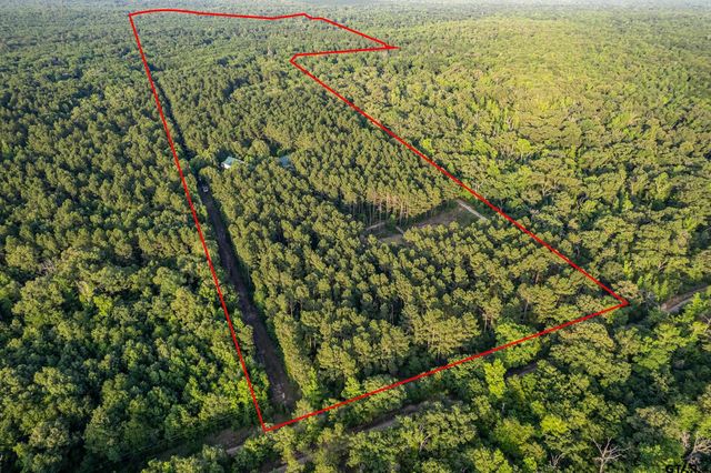 16661 PR 2360, Oakwood, TX 75855