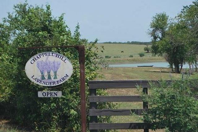 Lot 15 Winding Branch, Chappell Hill, TX 77426