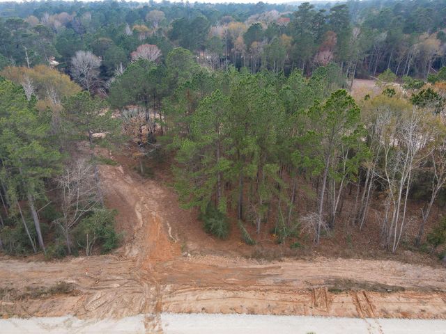 132 Heartland Road, New Waverly, TX 77358