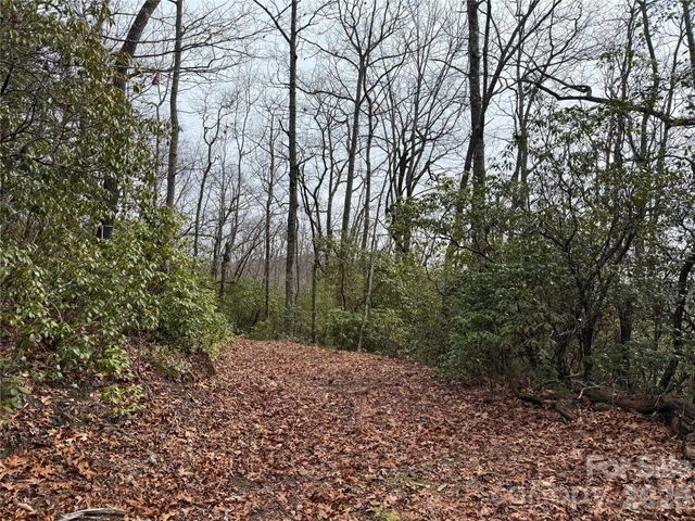 TBD Laurel Thicket Lane, Brevard, NC 28712
