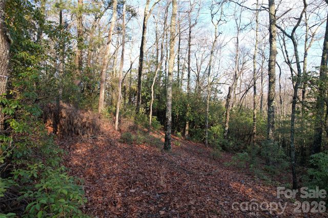 TBD Laurel Thicket Lane, Brevard, NC 28712