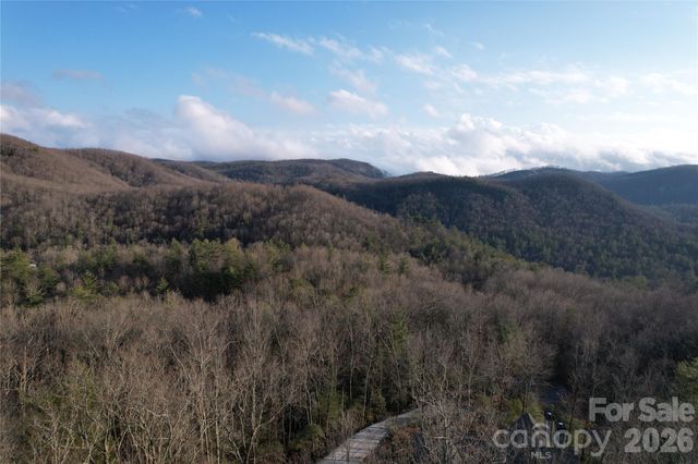 TBD Laurel Thicket Lane, Brevard, NC 28712