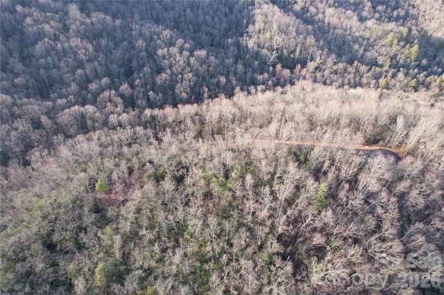 TBD Laurel Thicket Lane, Brevard, NC 28712