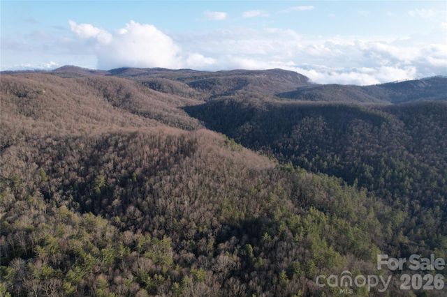TBD Laurel Thicket Lane, Brevard, NC 28712