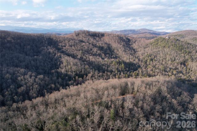 TBD Laurel Thicket Lane, Brevard, NC 28712