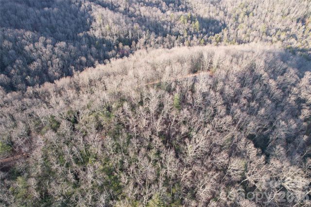 TBD Laurel Thicket Lane, Brevard, NC 28712
