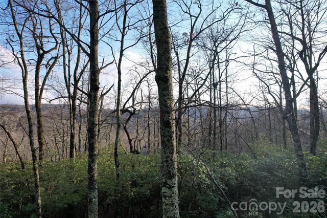 TBD Laurel Thicket Lane, Brevard, NC 28712