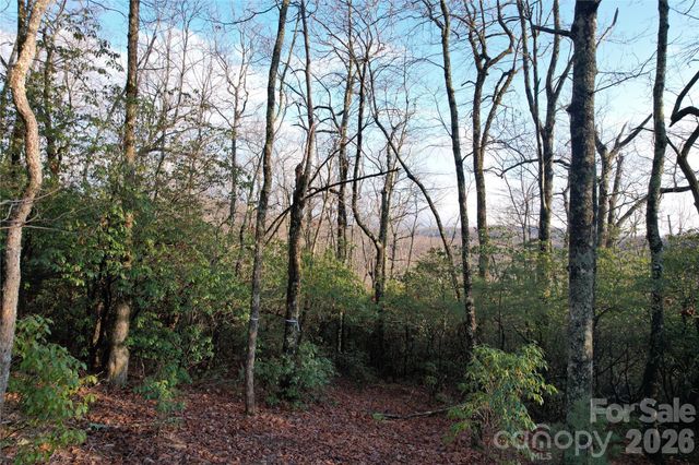 TBD Laurel Thicket Lane, Brevard, NC 28712