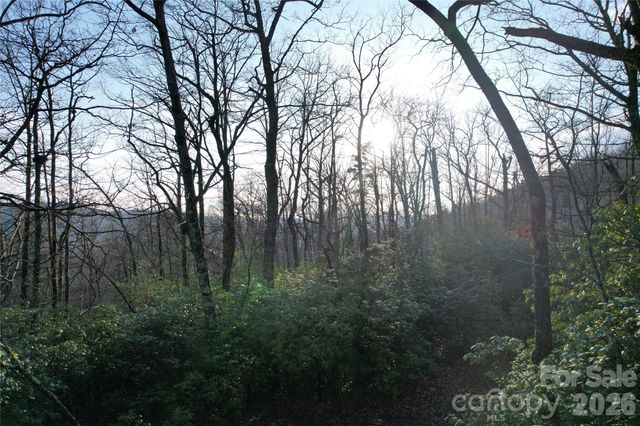 TBD Laurel Thicket Lane, Brevard, NC 28712