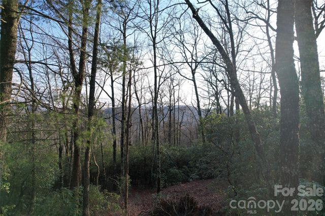 TBD Laurel Thicket Lane, Brevard, NC 28712